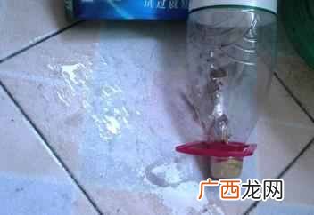 家里蟑螂怎么消灭最彻底,这个小窍门!