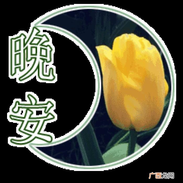 晚安窝心的问候祝福语 说晚安的句子