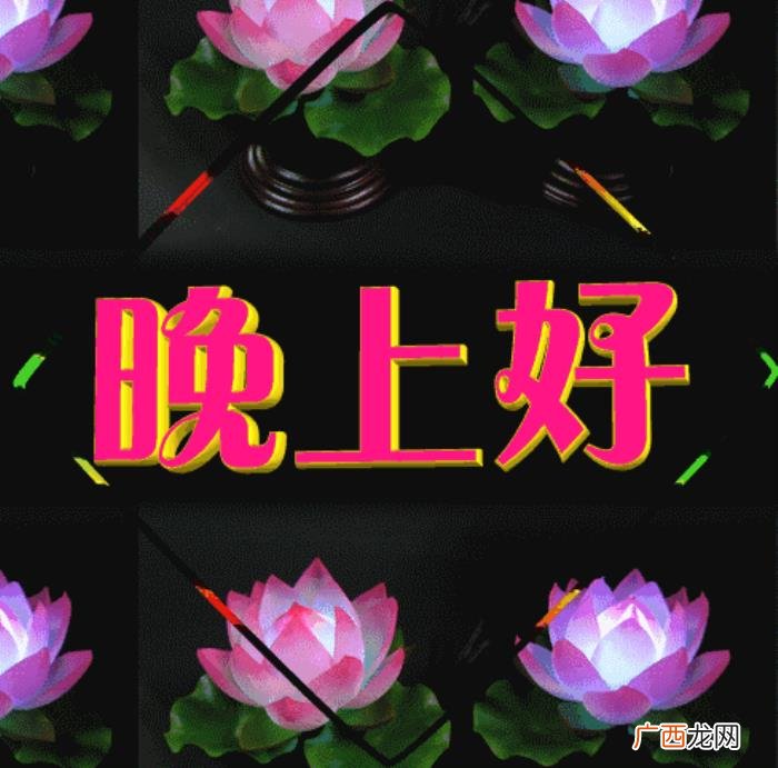 晚安窝心的问候祝福语 说晚安的句子