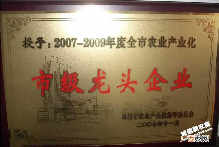 养殖水鸭在哪里有批发 庐江哪你有养殖鸭子的