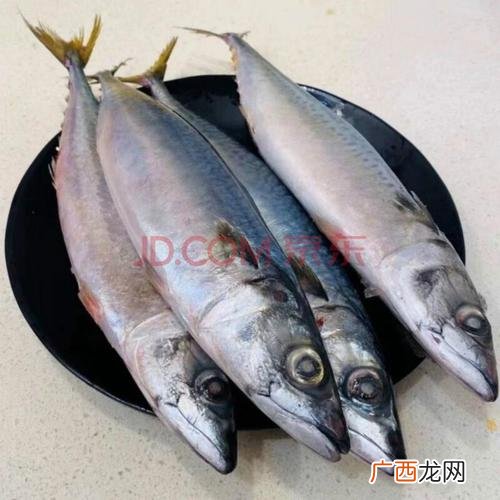 养殖猴子去哪买去 马了猴养殖基地