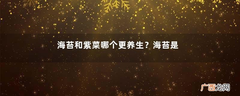 海苔和紫菜哪个更养生?海苔是紫菜的华丽转身?