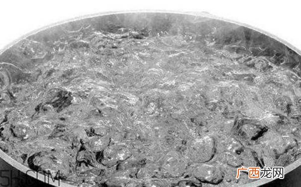 喝开水兑冷水好不好？开水兑冷水是阴阳水不宜喝吗？