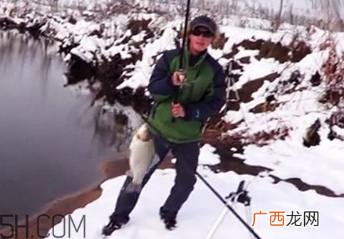 下雪天能钓鱼吗下雪天好钓鱼吗