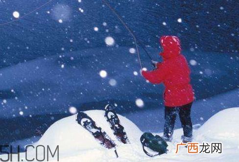 下雪天能钓鱼吗下雪天好钓鱼吗