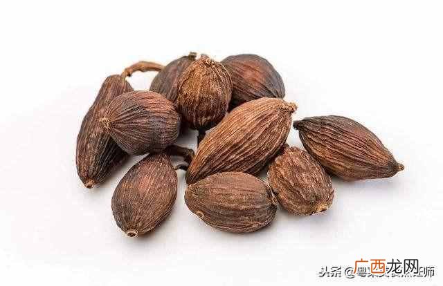 调料大全及作用有哪些！