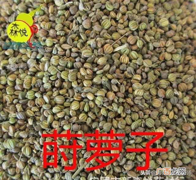 调料大全及作用有哪些！