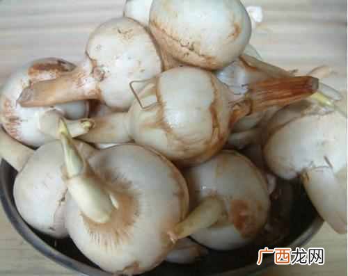 怀孕期间不能吃什么，这些禁忌一定要注意！