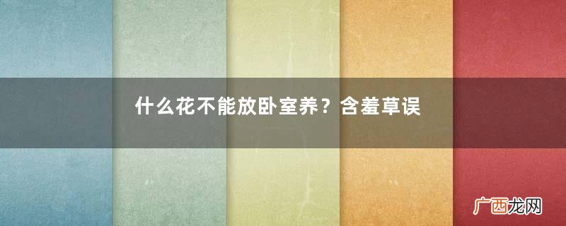 什么花不能放卧室养？含羞草误食会脱发