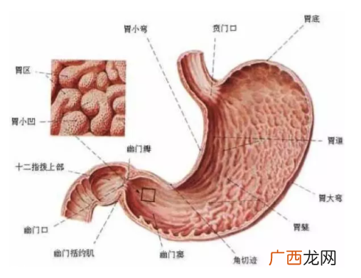 慢性胃炎是怎么造成的？吃烫食会引发胃炎