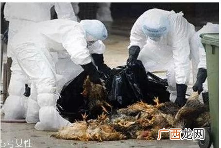 乙型流感病毒大概多少天能好？一周左右可恢复