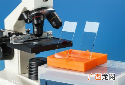 取病理真的是扯块肉吗？不疼也无伤害