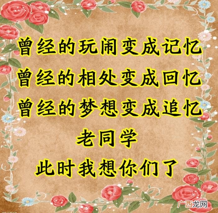致我最想念的老同学们~ 同学情谊的句子