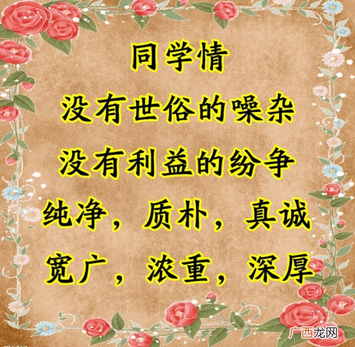 致我最想念的老同学们~ 同学情谊的句子