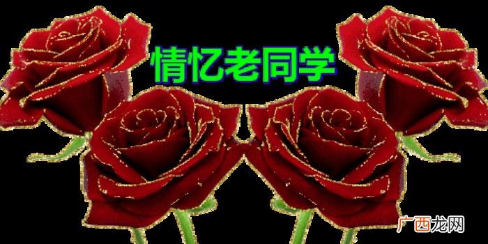 致我最想念的老同学们~ 同学情谊的句子