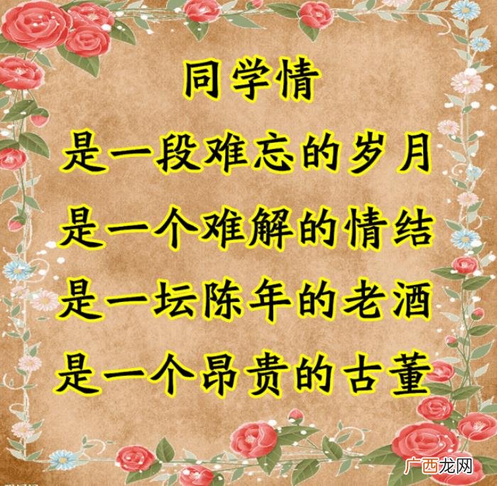 致我最想念的老同学们~ 同学情谊的句子