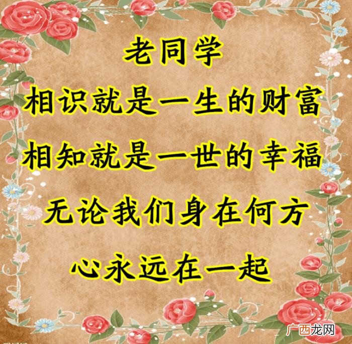 致我最想念的老同学们~ 同学情谊的句子