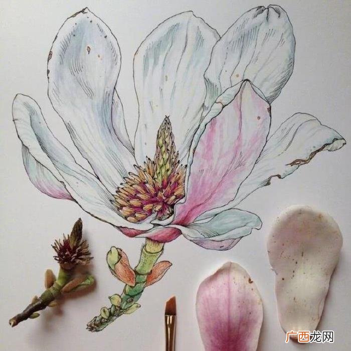 享受时光的句子说说 时间流逝的句子