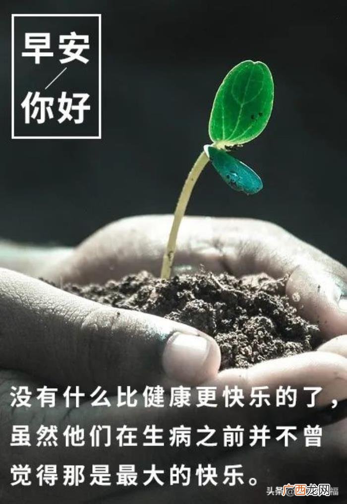 新的一天从早安心语开始 新的一天新的开始说说