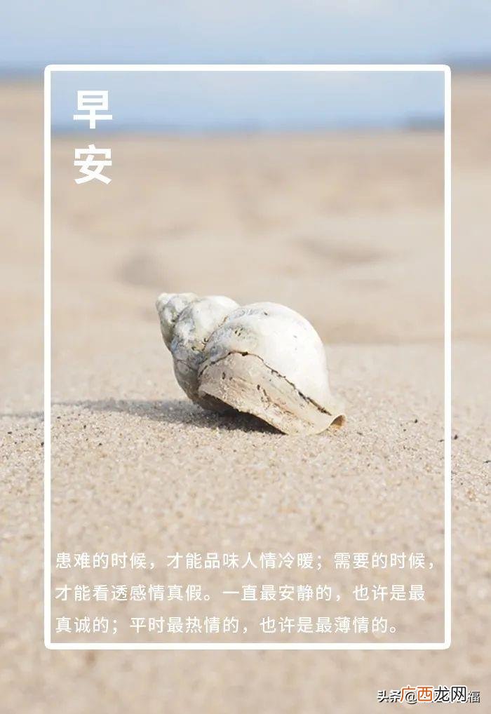 新的一天从早安心语开始 新的一天新的开始说说