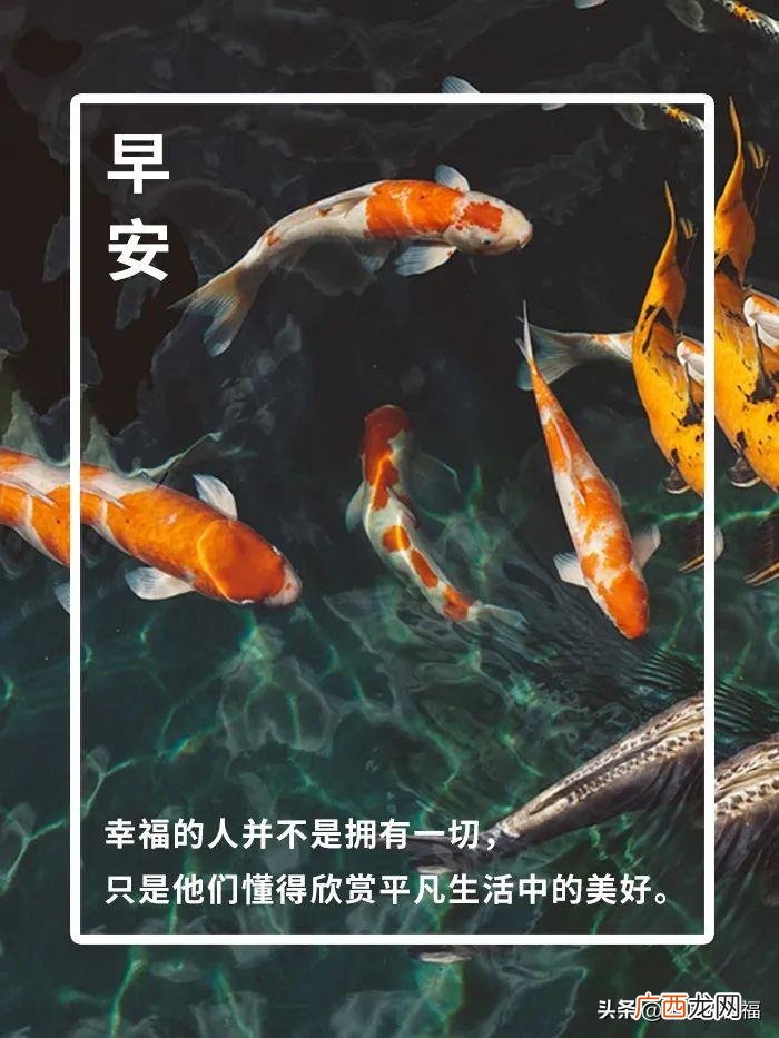 新的一天从早安心语开始 新的一天新的开始说说