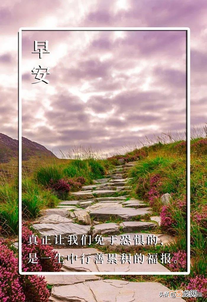 新的一天从早安心语开始 新的一天新的开始说说