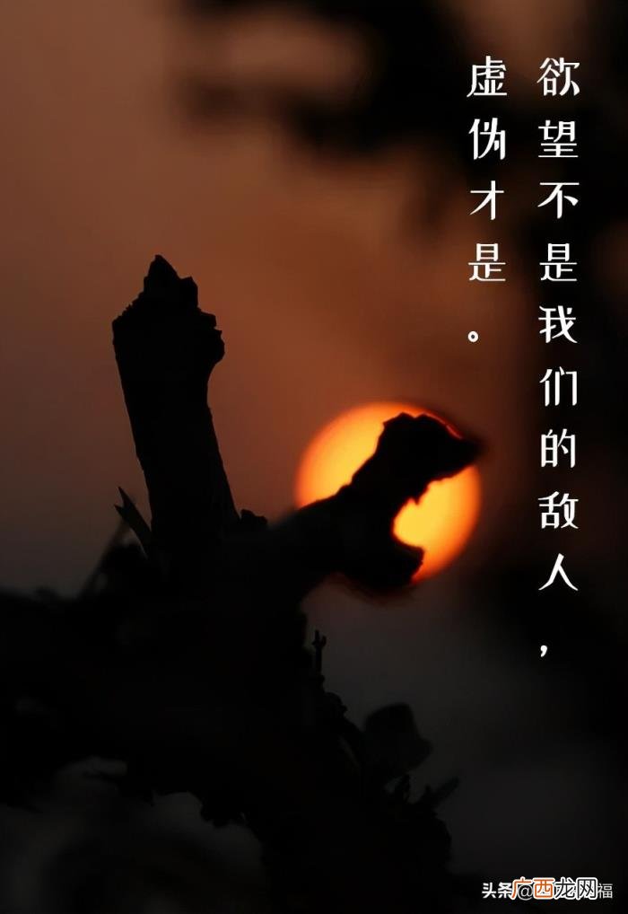 新的一天从早安心语开始 新的一天新的开始说说