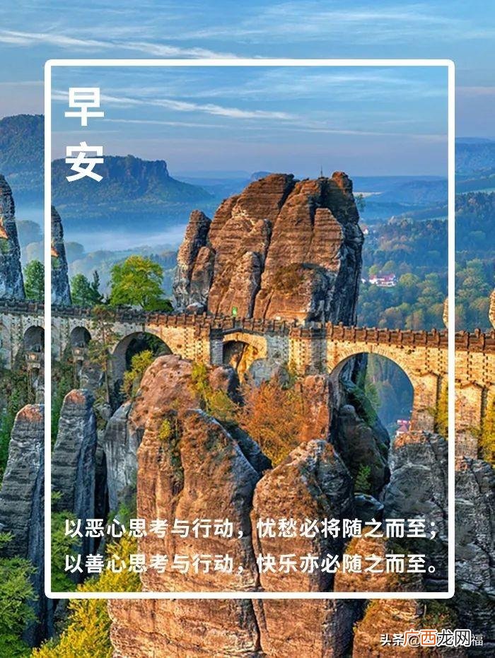 新的一天从早安心语开始 新的一天新的开始说说