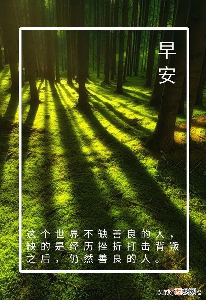 新的一天从早安心语开始 新的一天新的开始说说