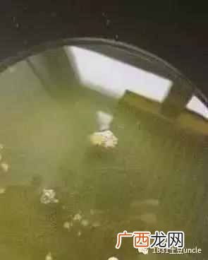 做法及配料有哪些 炸鸡排的做法有哪些
