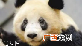 黑眼圈为什么睡够了还是去不掉？体质原因也会造成黑眼圈
