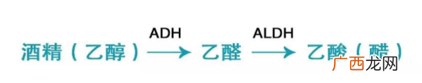 喝酒致癌的真相是什么？乙醛致癌太可怕