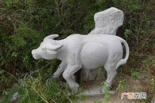 湄洲岛旅游攻略及必游景点!
