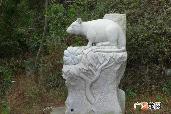 湄洲岛旅游攻略及必游景点!