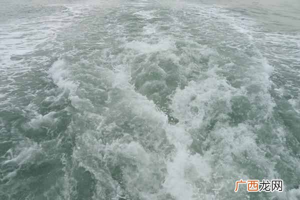 湄洲岛旅游攻略及必游景点!