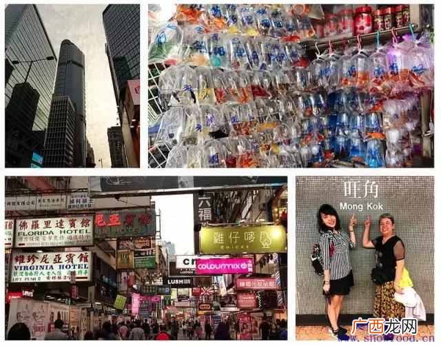 香港购物清单必买物品有哪些！
