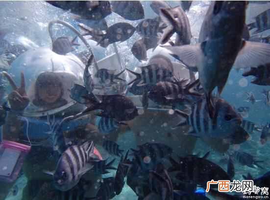 毛里求斯旅游攻略及游玩注意事项！