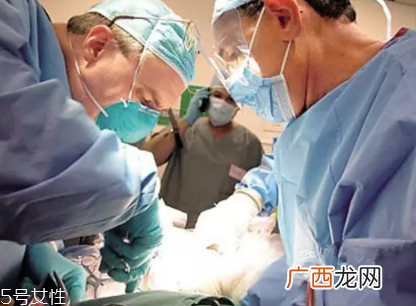 冷冻遗体能活过来吗?木乃伊完全不可能苏醒