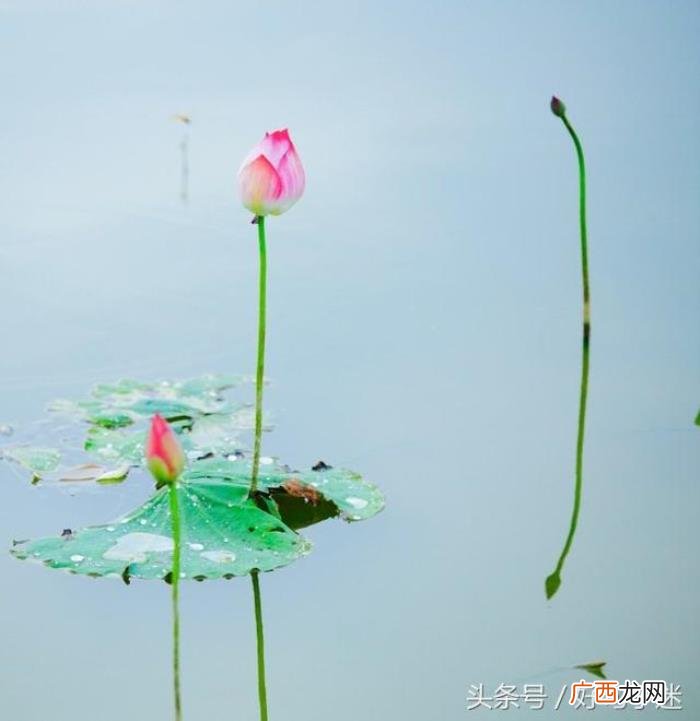 很想你的心情说说句子 思念孩子的心情短语