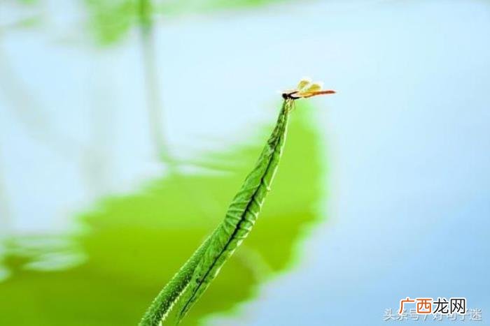 很想你的心情说说句子 思念孩子的心情短语