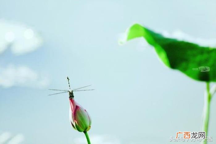 很想你的心情说说句子 思念孩子的心情短语
