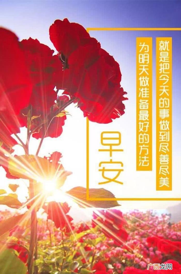 不如风雨中练就无畏的坚强 坚强图片