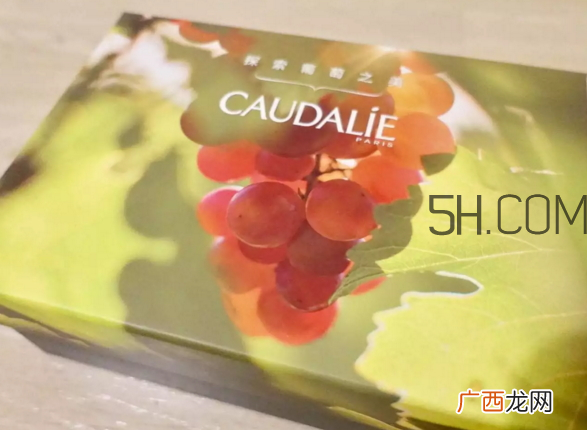 欧缇丽臻美亮白精华液多少钱?欧缇丽臻美亮白精华液怎么样?