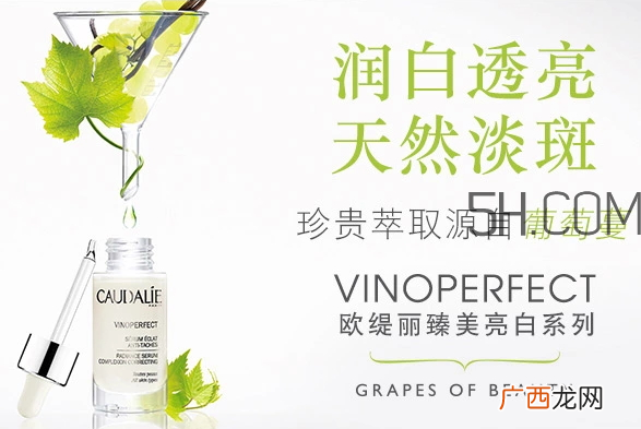 欧缇丽臻美亮白精华液多少钱?欧缇丽臻美亮白精华液怎么样?