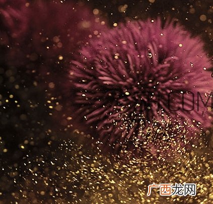 海蓝之谜鎏金精华怎么用？海蓝之谜鎏金精华使用心得