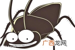 蟑螂究竟有多脏？传播蛔虫卵等多种病菌