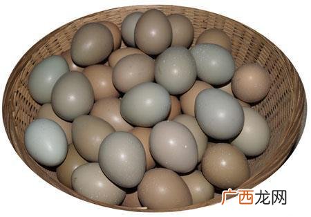 家养土鸡蛋和鸡场鸡蛋有何区别 土鸡蛋养殖基地的介绍