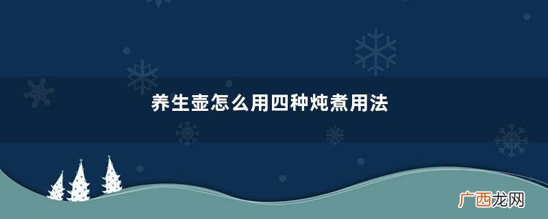 养生壶怎么用四种炖煮用法