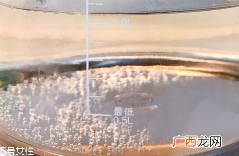 养生壶怎么用四种炖煮用法