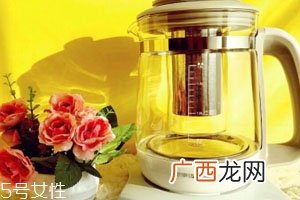养生壶怎么用四种炖煮用法
